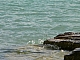 eau projetée sur les rochers.JPG
